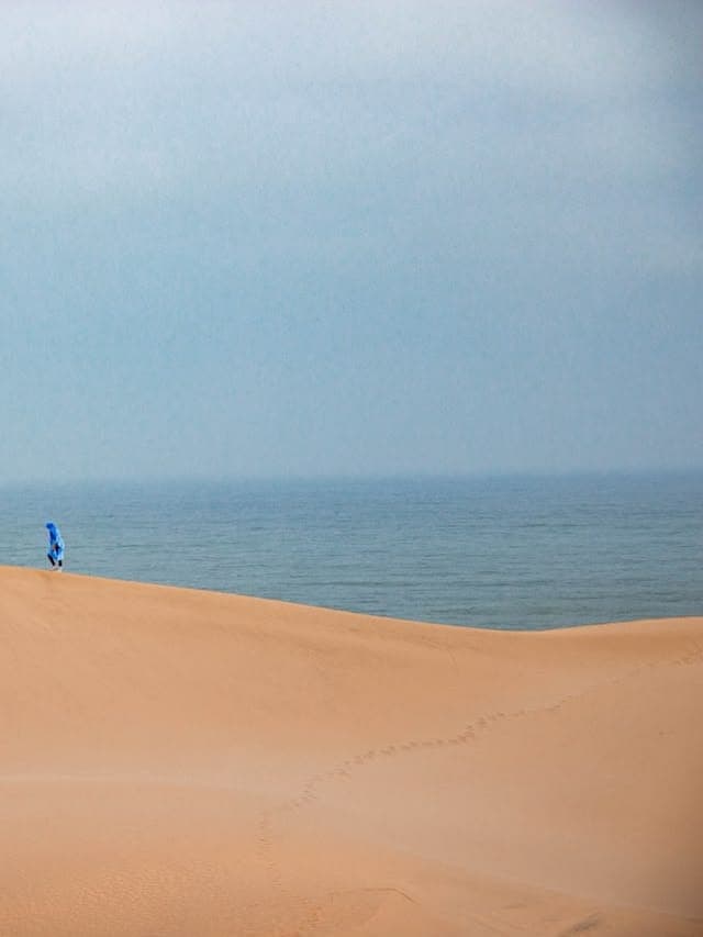 Timlaline dunes — 1